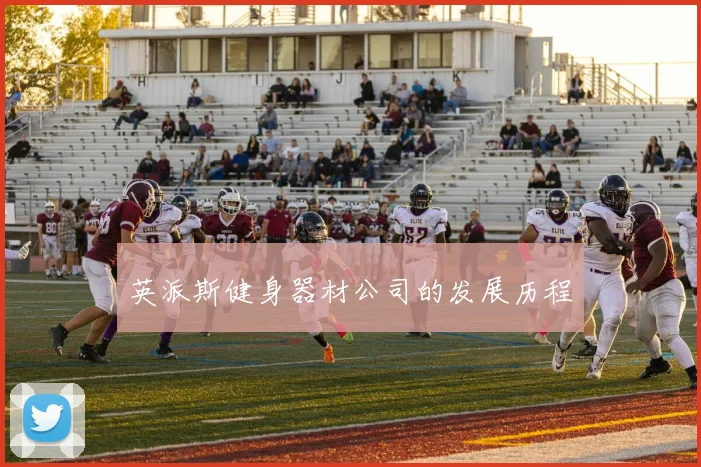 英派斯健身器材公司的发展历程
