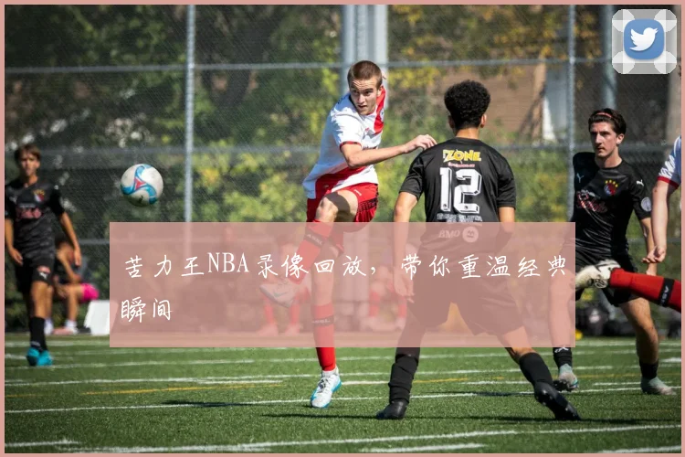 苦力王NBA录像回放,带你重温经典瞬间